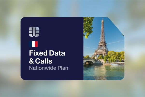 eSIM France Fixed Data & Calls